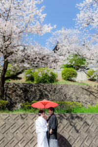 桜の下で和傘の相合傘　和装姿の新郎新婦