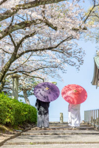 日泰寺で桜ロケーションウェディングフォト　和傘をさす後ろ姿