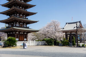 日泰寺で桜ロケーションウェディングフォト　五重の塔×和装×桜