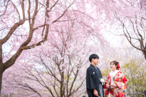 名古屋で和装の桜前撮り後撮り。安くておしゃれ