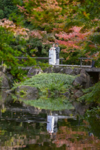 紅葉の徳川園で和装ウェディングフォト　白無垢前撮り池に映る