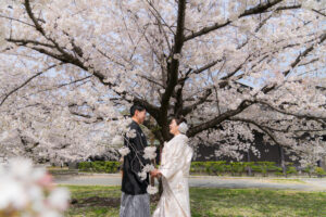 桜の和装ロケーション前撮り白無垢