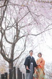 東山植物園で和装ロケーション前撮り　桜の木の下で微笑む新郎新婦　名古屋でリーズナブルな前撮り
