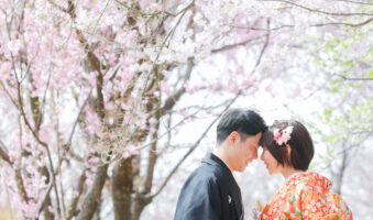 東山植物園で和装ロケーション前撮り　桜の木の下でおでこを近づける新郎新婦　色打掛でウェディングフォト
