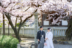 覚王山日泰寺で和装ロケーション前撮り　桜の木の下で見つめ合う新郎新婦　名古屋で格安前撮り